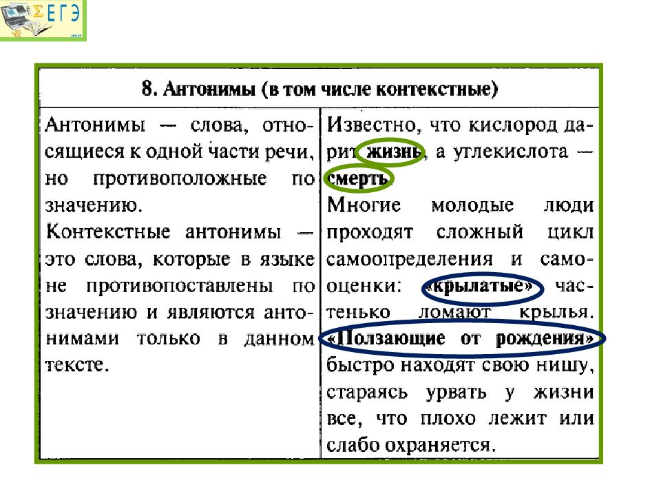 Гриша закрыл фотографию на экране и стал быстро листать другие контекстные антонимы