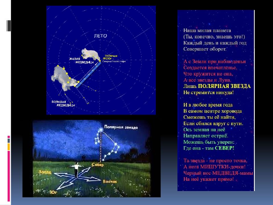 Презентация малая медведица