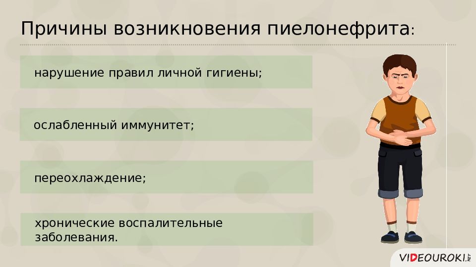 Причиной нарушений в работе. Профилактика заболеваний мочевыделительной системы у детей. Причины заболевания почек и их профилактика. Заболевания органов мочевыделения и их профилактика. Основные симптомы при заболеваниях мочевыделительной системы.