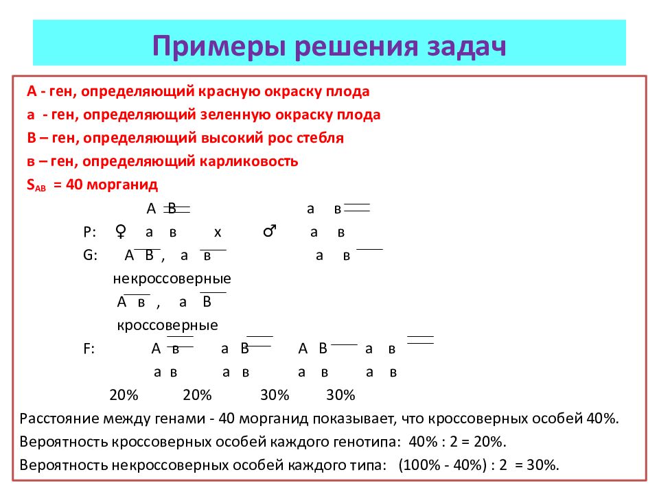 Презентация по биологии 10 класс решение генетических задач