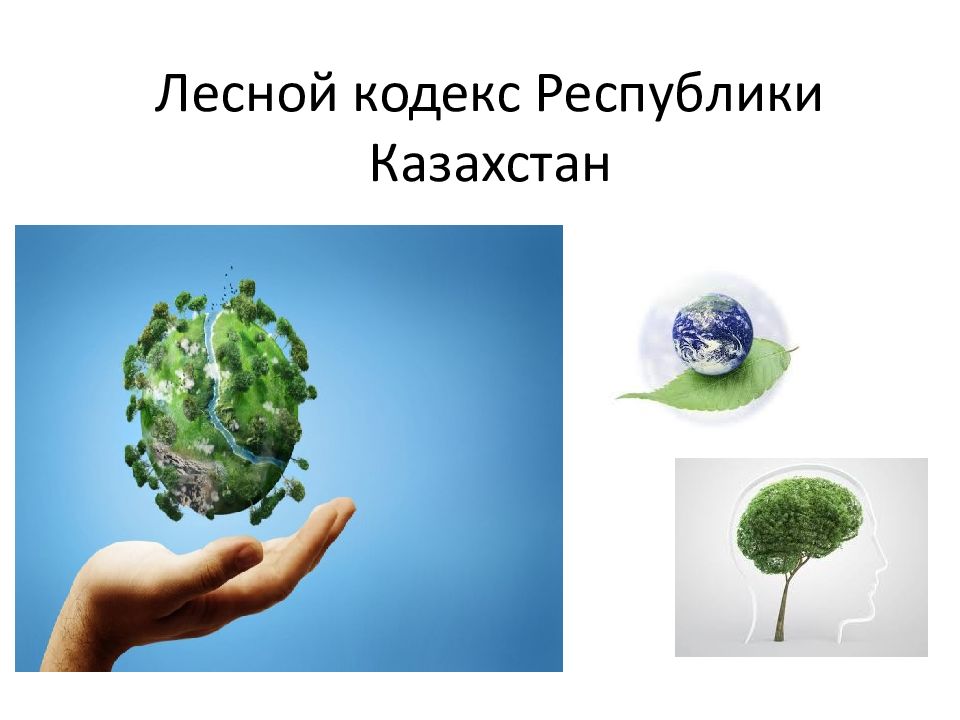 Лесной кодекс Республики Казахстан