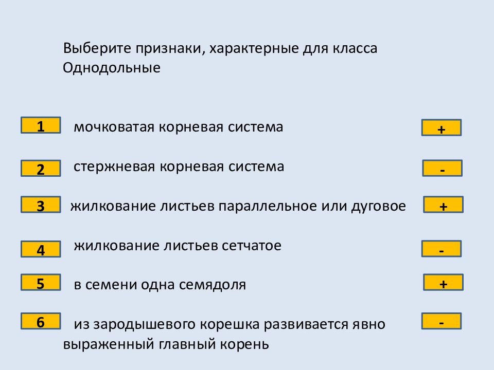 Выберите признаки. Выберите признаки, характерные для класса Однодольные. Выберите признаки характерные для корней растений. Выберите признаки, характерные для растений.