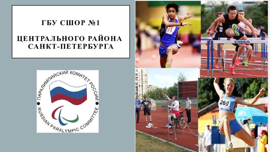 Государственное бюджетное учреждение спорт. ГБУ СШОР 1 Санкт-Петербург. СШОР №1 центрального района Санкт-Петербурга. (ГБУ СШОР курортного района Санкт-Петербурга) значок. ГБУ СШОР №1 СПБ лого.