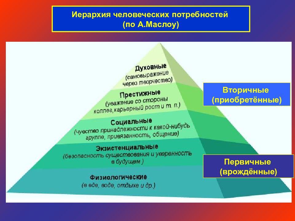 Эволюция человеческих потребностей. Первичные и вторичные потребности по Маслоу. Врожденных потребностей человека по Маслоу. Классификация потребностей Обществознание.