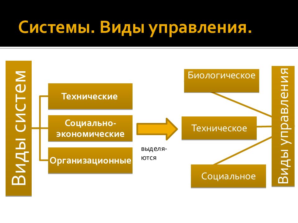 Государственное управление и исполнительная власть презентация