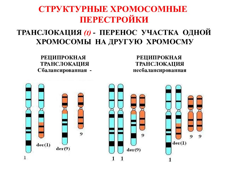 Изменчивость хромосом. Реципрокная сбалансированная транслокация. Транслокация рисунок. Транслокация это в биологии. Транслокация это в генетике.