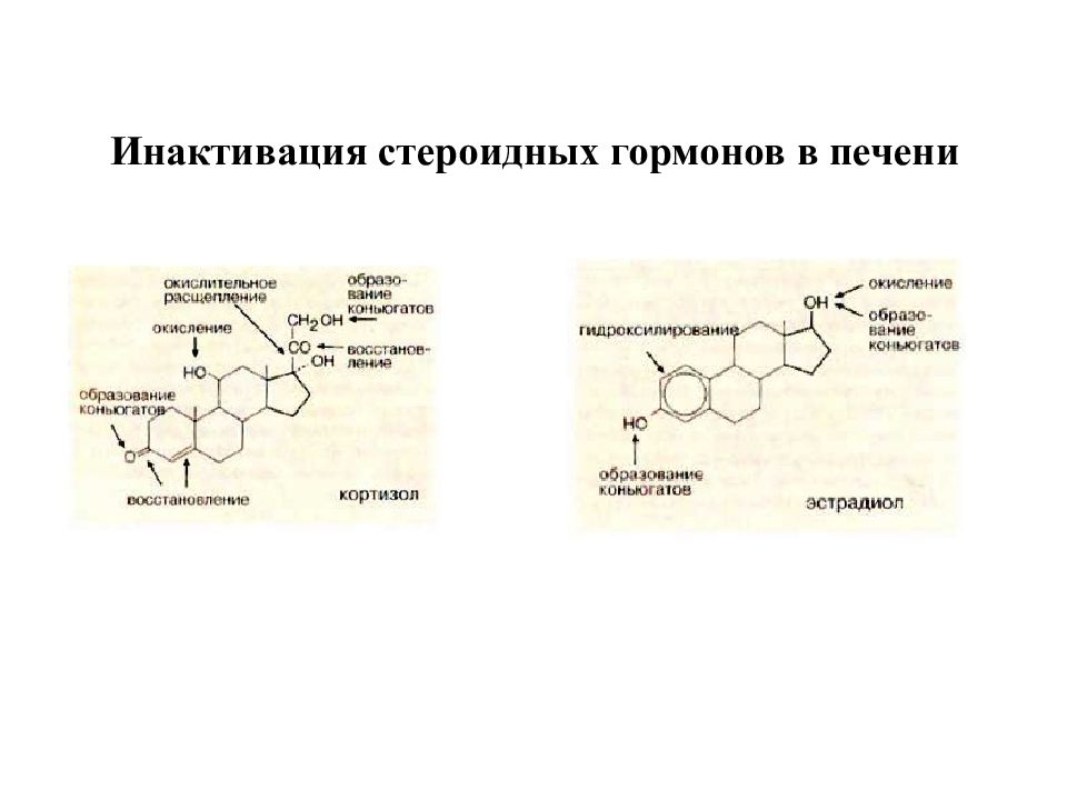 Синтез гормонов в печени. Синтез стероидных гормонов биохимия. Схема синтеза стероидных гормонов биохимия. Инактивация стероидных гормонов. Схема метаболизма стероидных гормонов.