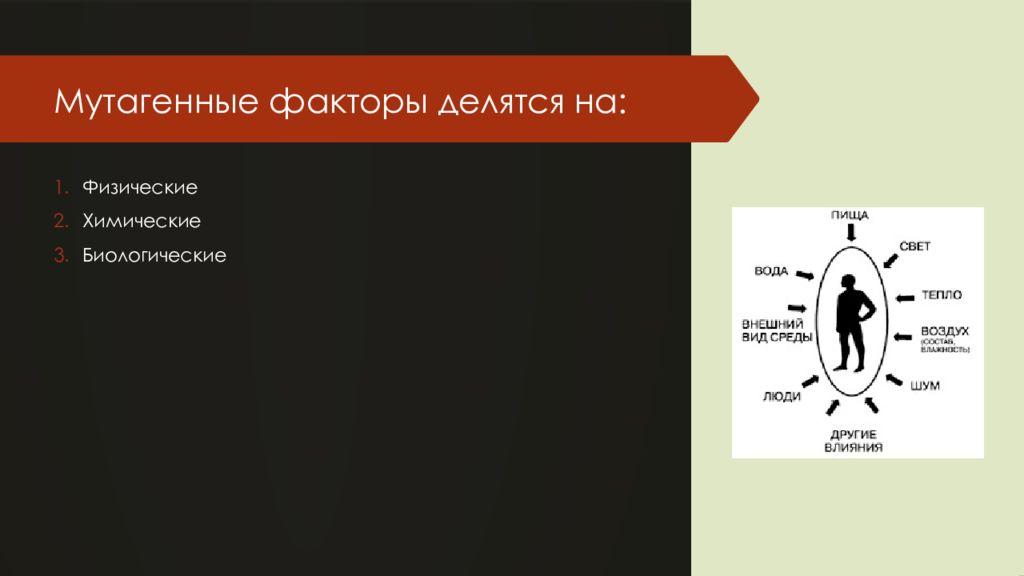 Мутагенные факторы среды. Мутагенные факторы среды презентация. Презентация на тему мутагенные факторы. Физический мутагенный факторы среды презентация. Кроссворд на тему «мутагенные факторы».