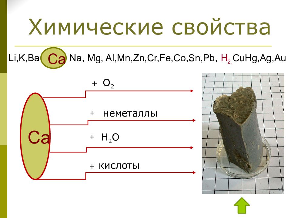 Li k ba. Металлы 2 группы. Металлоэлемент 2.