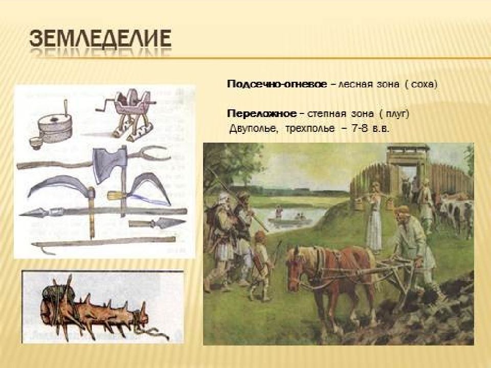 Перечислите главные занятия славян. Пашенное земледелие у восточных славян. Занятия древних славян земледелие. Восточные славяне в древности земледелие. Древние славяне земледельцы.