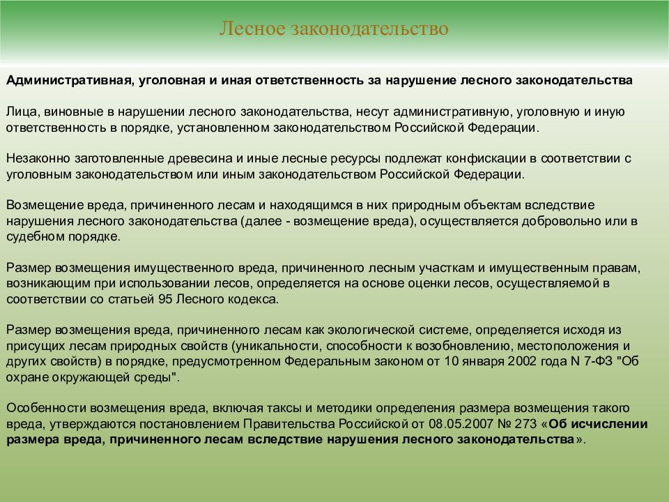 Вред причиненный лесам. Ответственность за нарушение лесного законодательства. Источники лесного законодательства. Уголовная ответственность за нарушение лесного законодательства. Система лесного законодательства.