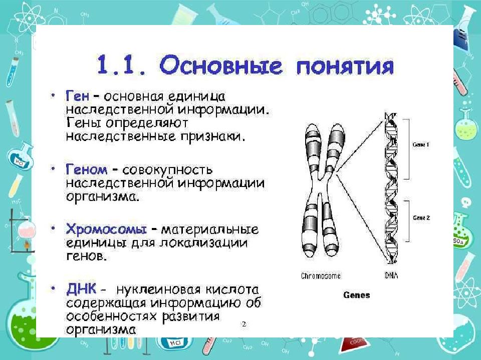 Современное представление о гене и геноме презентация