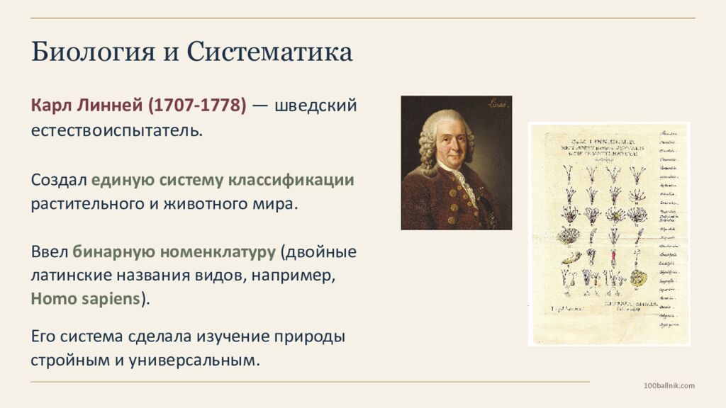 100ballnik.com Наука, образование, воспитание 8 класс