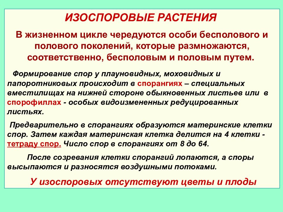 Ботаническая наука изучающая размножение растений. Палинологии. Область ботаники изучающая созревание.