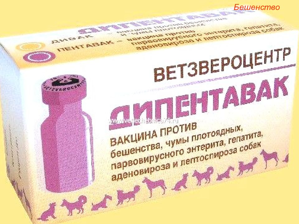 Дипентавак вакцина инструкция. Дипентавак вакцина для собак. Дипентавак упаковка. Прививка для собак Дипентавак. Где производится вакцина Дипентавак