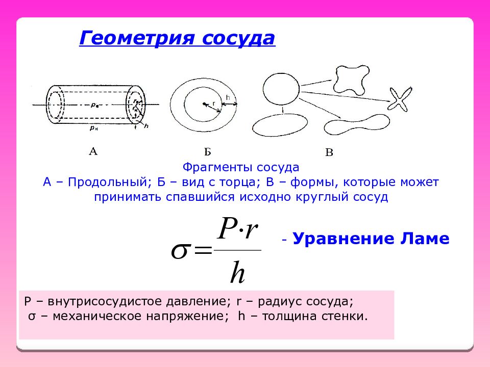 Радиус сосуда. Механическое напряжение стенки кровеносного сосуда. Уравнение ламе. Механические свойства кровеносных сосудов.