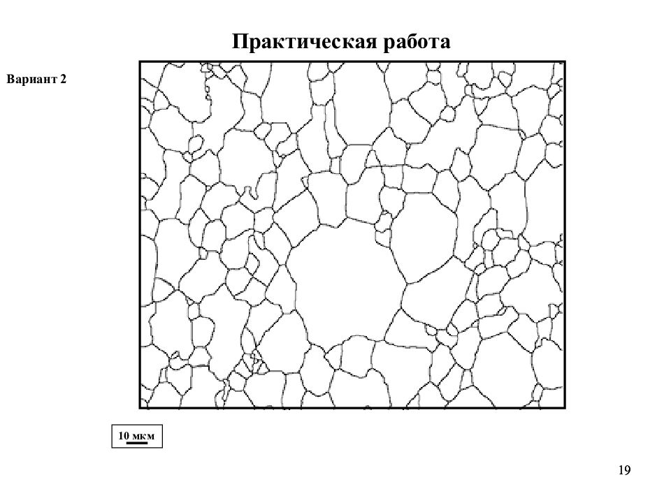 Практическая 19. Средний размер зерна. Размер зерна негатива. Размер зерна феррита идеальное зерно. Относительный размер зерен.