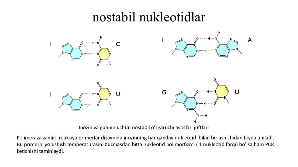 DNK ning tuzilishi va DNK replikatsiyasi nostabil nukleotidlar