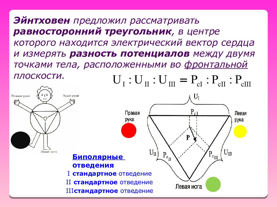 Тела находятся между двумя. Треугольник Эйнтховена стандартные отведения. Теория Эйнтховена для электрокардиографии. Теория Эйнтховена треугольник Эйнтховена. Электрическая ось сердца треугольник Эйнтховена.