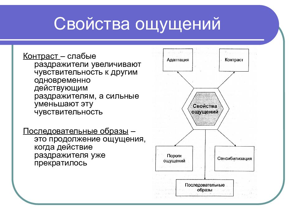 Свойства ощущений качество интенсивность