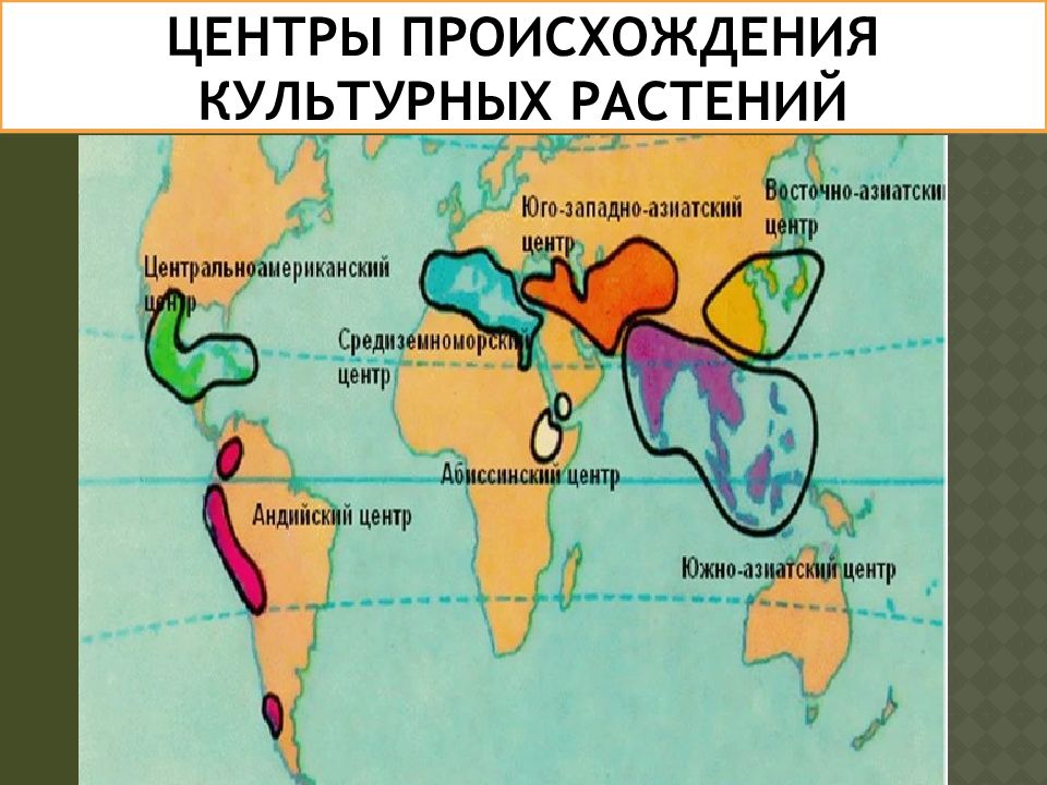 Как называются центры указанные на рисунке селекция ответы