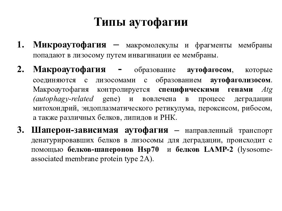 Аутофагия организма