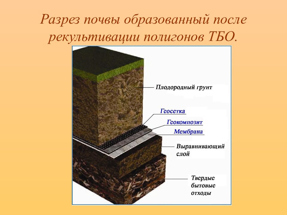 После образован