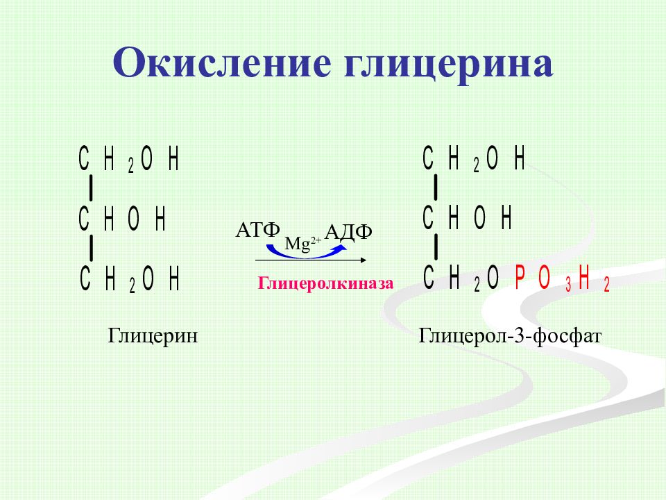 Окисление глицерола. Окисление глицерина АТФ. Окисление глицерина. Окисление глицерина биохимия. Этапы окисления глицерина.