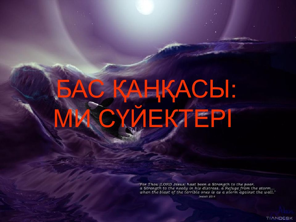 БАС ҚАҢҚАСЫ: МИ СҮЙЕКТЕРІ :
