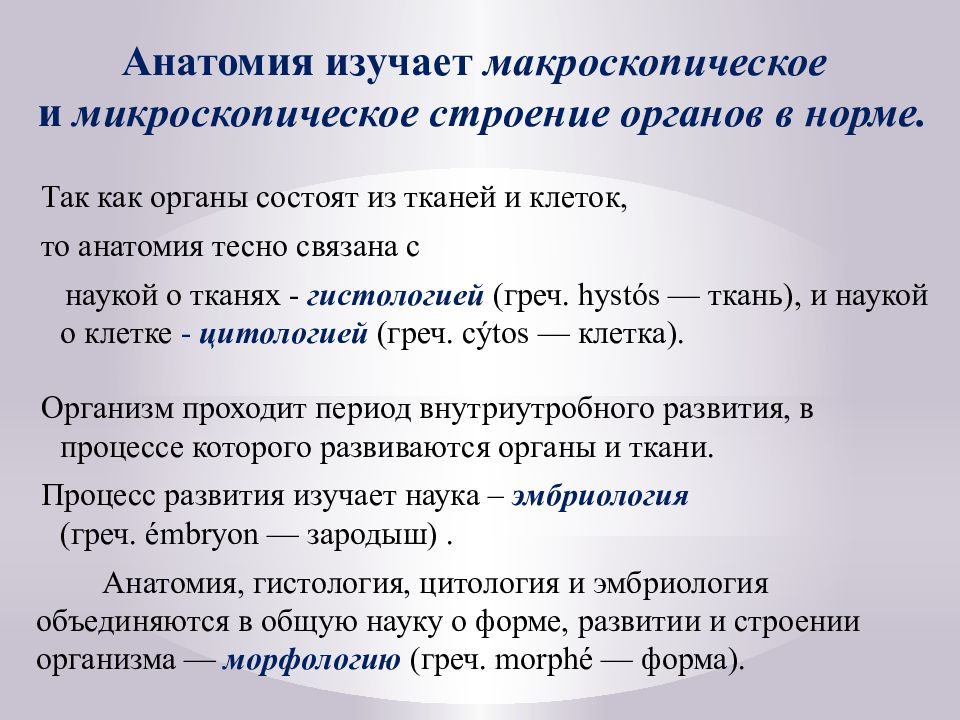 Посмертные исследования. Как определить спряжение глагола с безударным личным окончанием. Спряжение глаголов с безударными личными окончаниями определяют по. Как определить спряжение глаголов с безударными личными окончаниями. Как определить спряжение глагола с безударным окончанием.