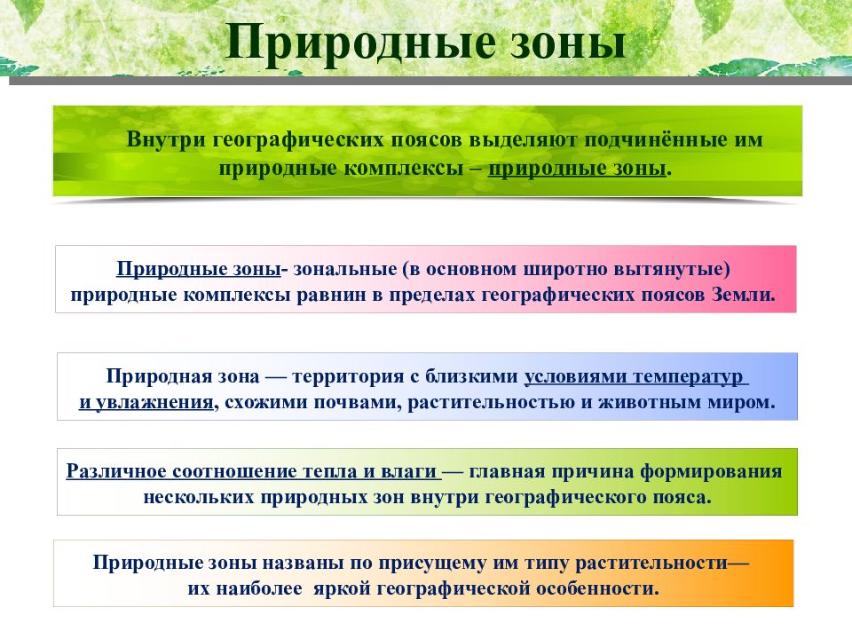 Природные зоны земли презентация. Разработка муниципальных программ. Виды муниципальных программ. Порядок разработки муниципальных программ. Этапы разработки программы для муниципалитета.