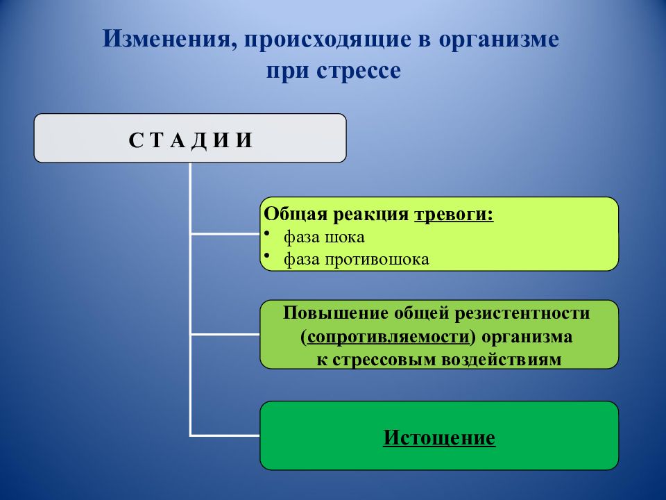 Изменения связаны. Изменения происходящие в организме при стрессе. Перечислите изменения в организме при стрессе. Однотипные изменения при стрессе. Фаза шока и противошока при стрессе.