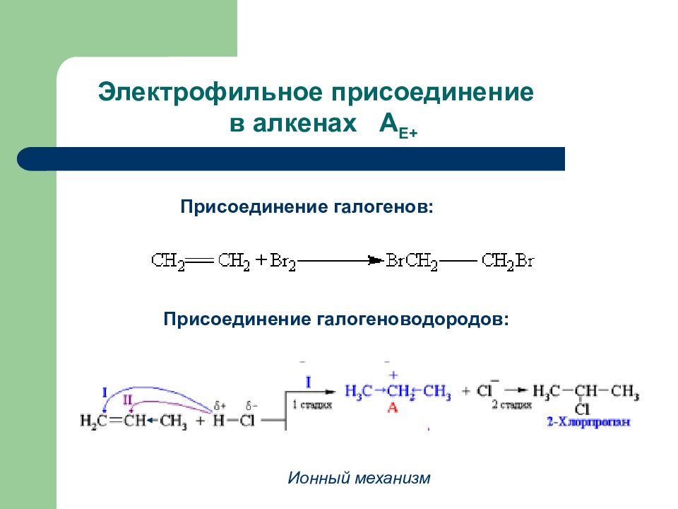 Правило присоединения галогеноводородов к алкенам. Механизм электрофильного присоединения к алкенам. Механизм электрофильного присоединения алкенов с бромом. Механизм реакции электрофильного присоединения. Механизм реакции электрофильного присоединения алкенов.