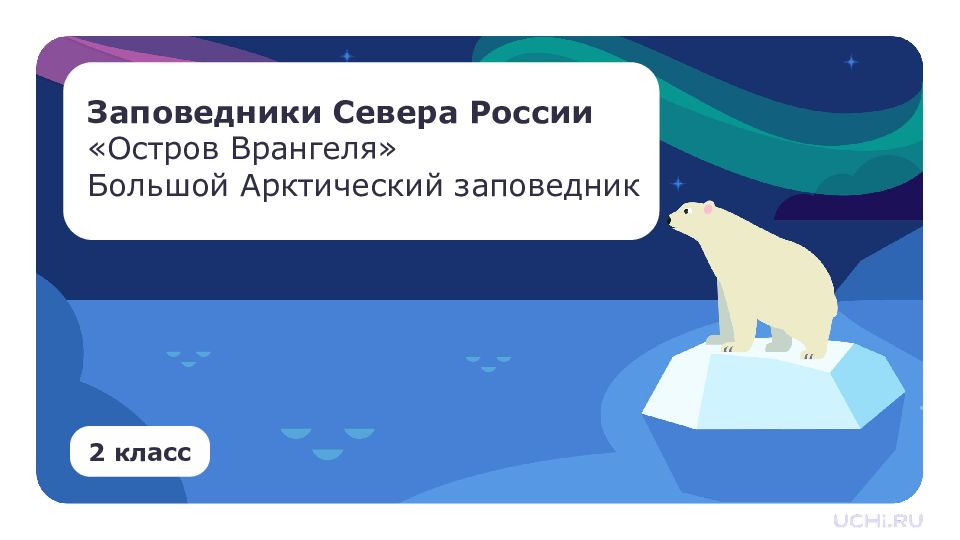 Заповедники Севера России «Остров Врангеля» Большой Арктический заповедник 2