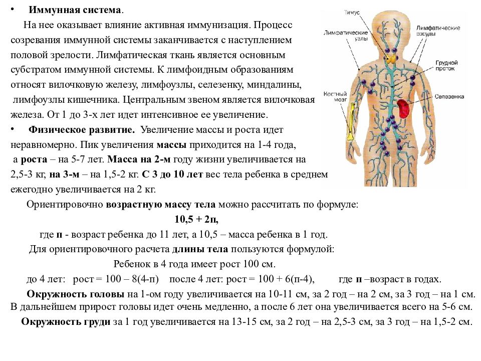 Иммунная и лимфатическая система презентация