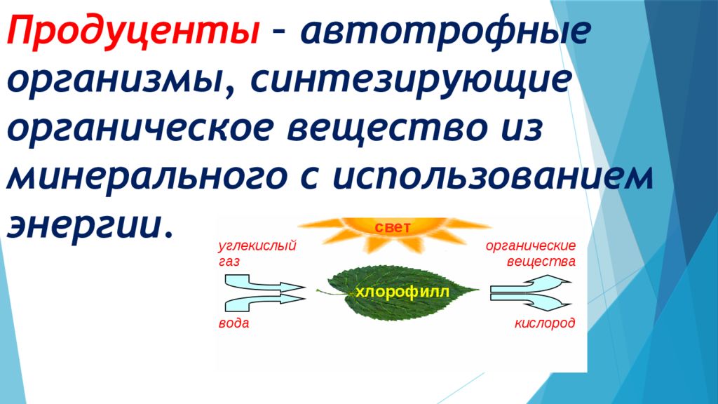 Организмы использующие энергию. Продуценты синтезирующие органические вещества. Организмы редуценты биотрофные организмы. Организмы продуценты автотрофные организмы. Автотрофные организмы органические вещества.