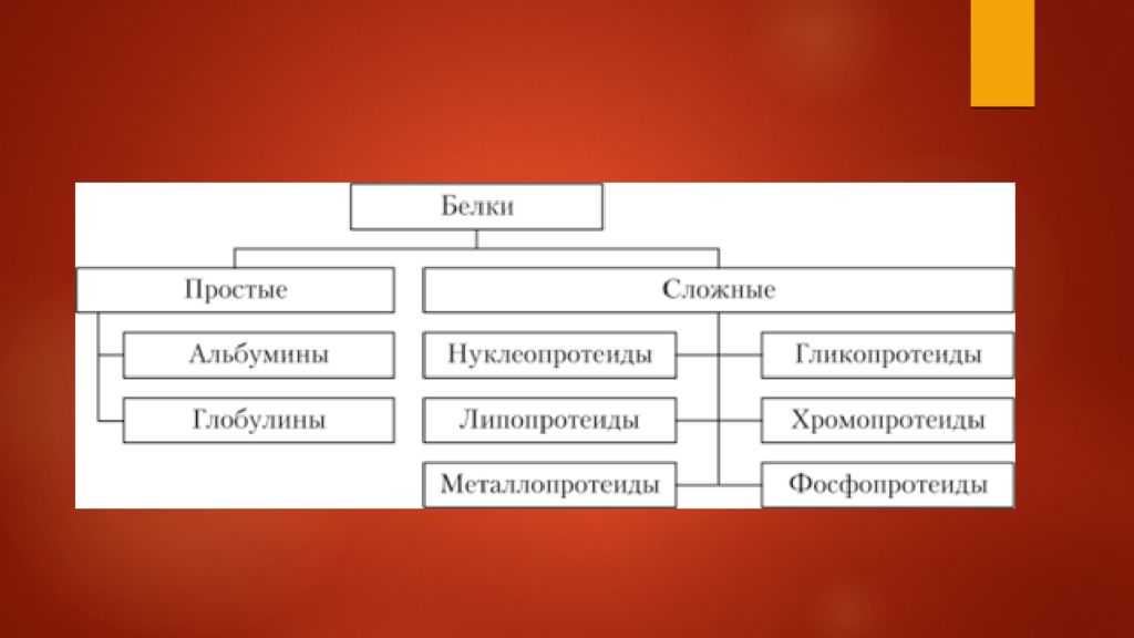 Строение и классификация