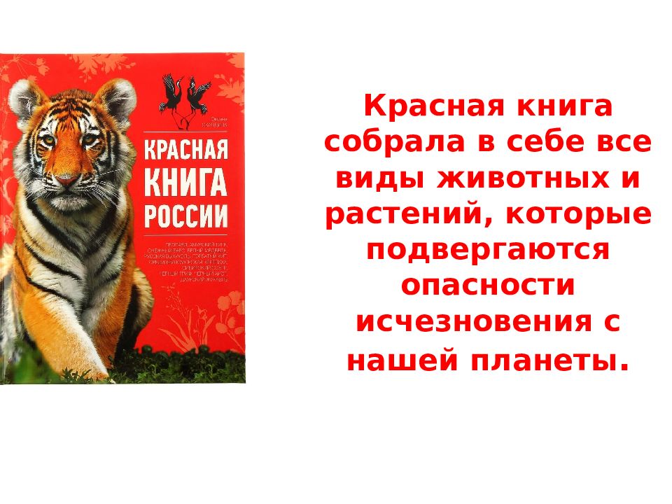 Сообщение о красной книге. Красная книга. Красная книга для детей. Животные из красной книги. Красная книга России для детей.