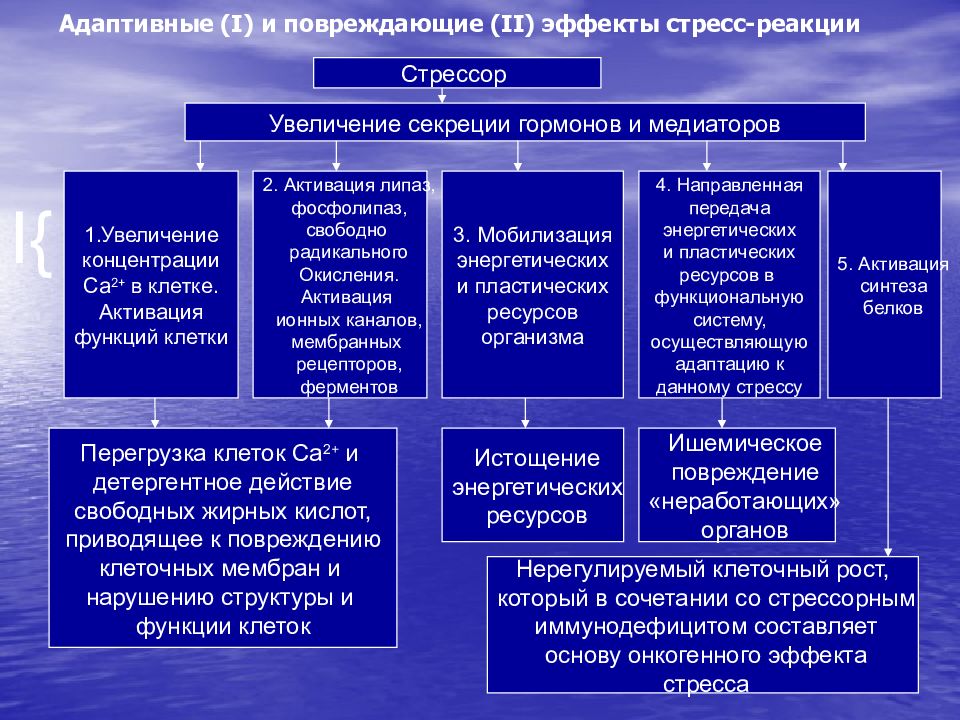 Основные гормональные сдвиги при реализации стрессовой реакции