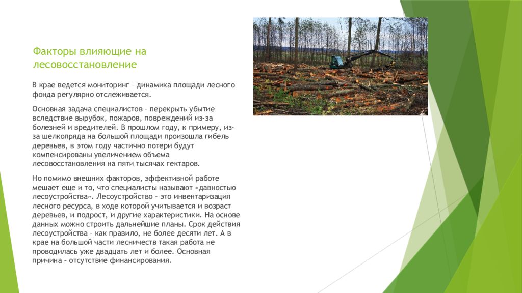 Правила лесовосстановления 1024. Естественное лесовосстановление. Естественное лесовосстановление презентация. Комбинированное лесовосстановление. Комбинированный метод лесовосстановления.