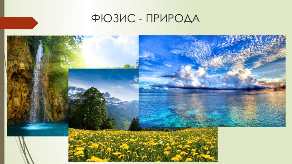 Что означает природа. Фюзис природа. Понятие происходящее от греческого слова фюзис что означает природа. Имена означающие природу.