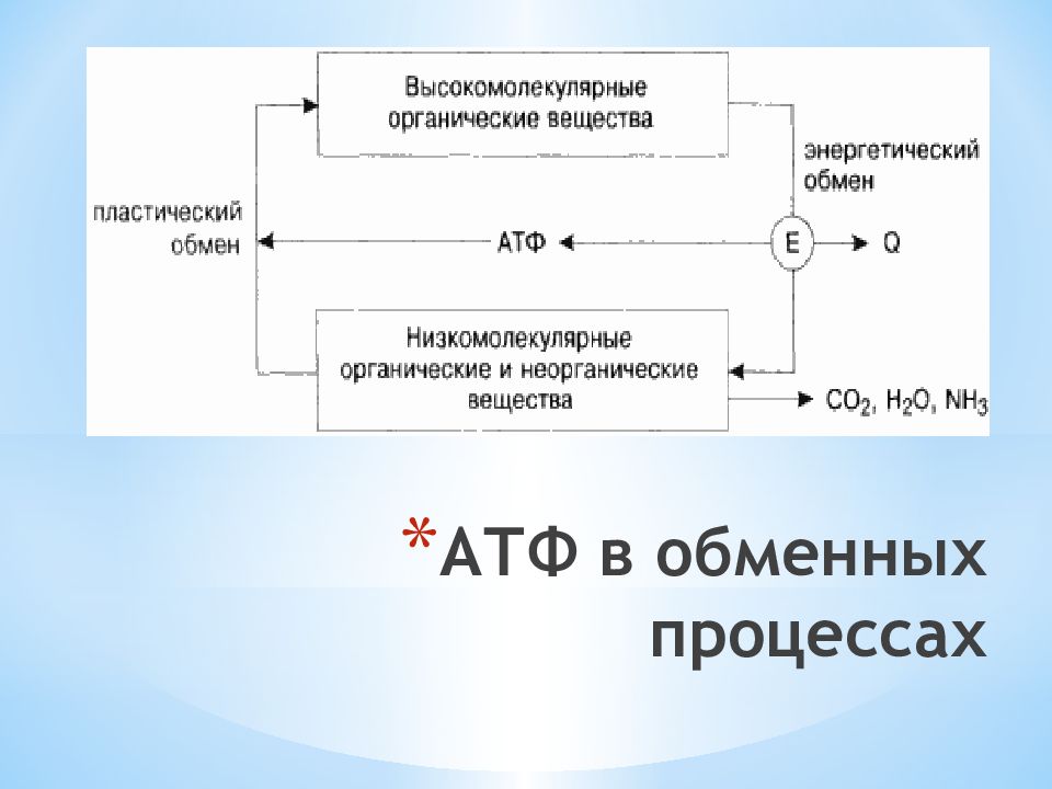 Пластический и энергетический обмен 8 класс презентация