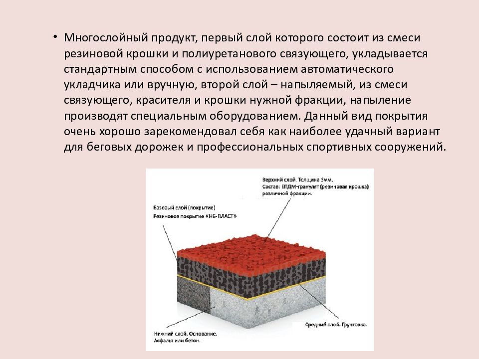 Презентация пол