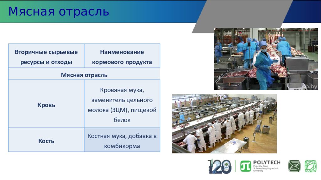 Инфраструктура вторичного сырья. Технология пищевого производства. Мираторг вторичное сырье. Мясная отрасль сырьё и топливо.