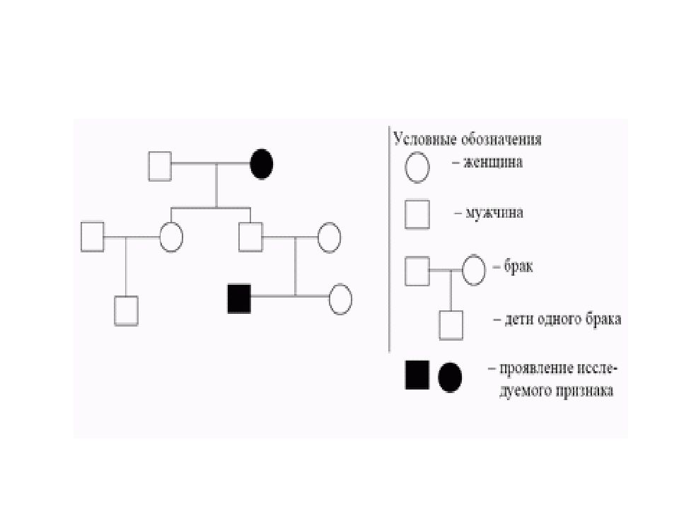 Исследуемый признак на схеме родословной обозначается