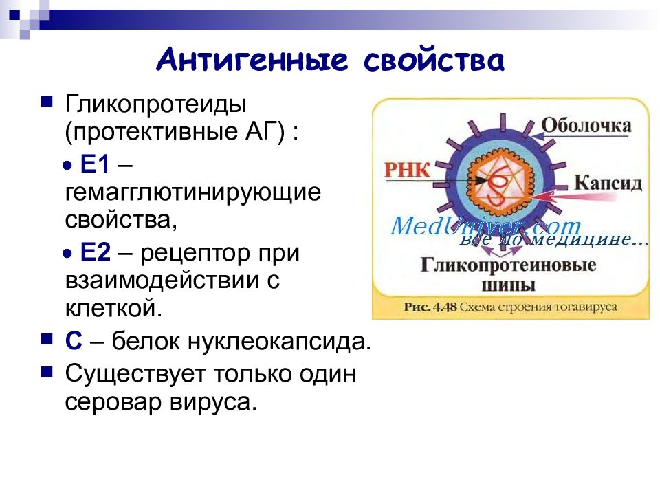 Вирус клещевого энцефалита микробиология презентация