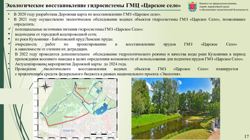 Комитет по природным ресурсам ленинградской области проекты лесоразведения