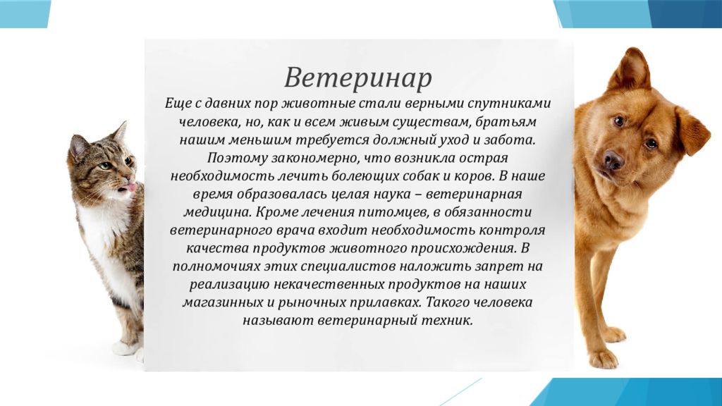 Презентация о ветеринарии