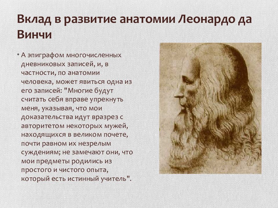 Как удалить леонардо да винчи. Леонардо да Винчи краткая информация. Научная деятельность Леонардо да Винчи. Леонардо да Винчи вклад кратко. Сообщение о Леонардо да Винчи.