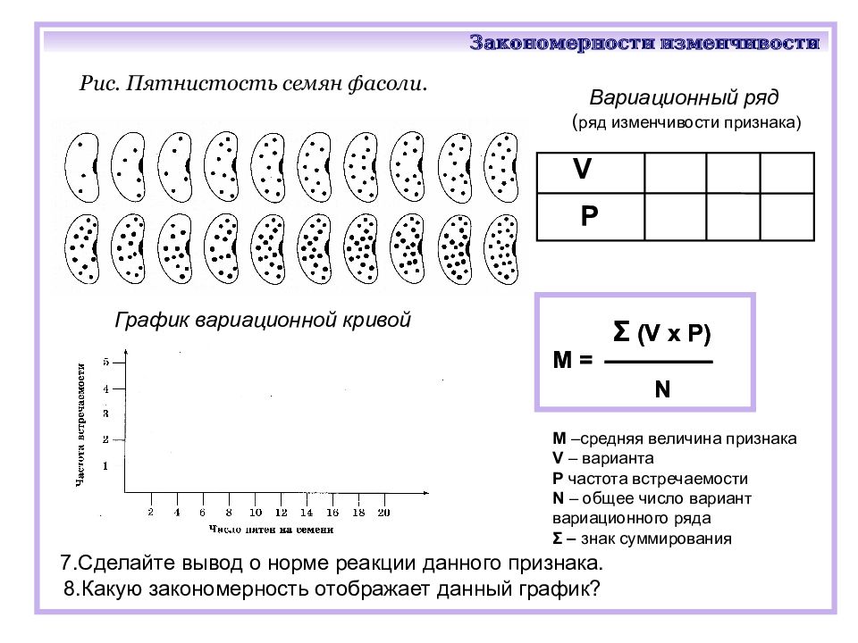 Закономерности изменчивости 11 класс презентация пасечник